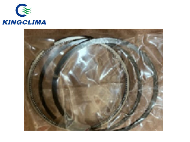 Carrier Parts Ring Set Std 134DI Tier 4 replacements