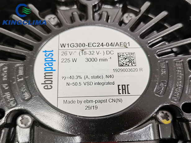 W1G300-EC24-04/AF01