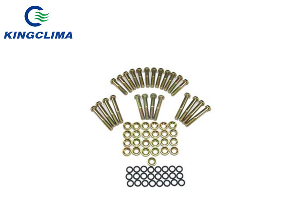 Bộ phận của máy nén Thermo King 20-131 Bộ làm kín đầu cho các bộ phận của bộ phận làm lạnh nhiệt độ King