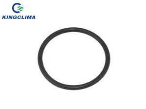 33-982 Thermo King Oring - KingClima