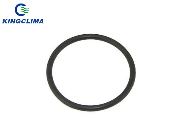 33-982 Thermo King Oring - KingClima