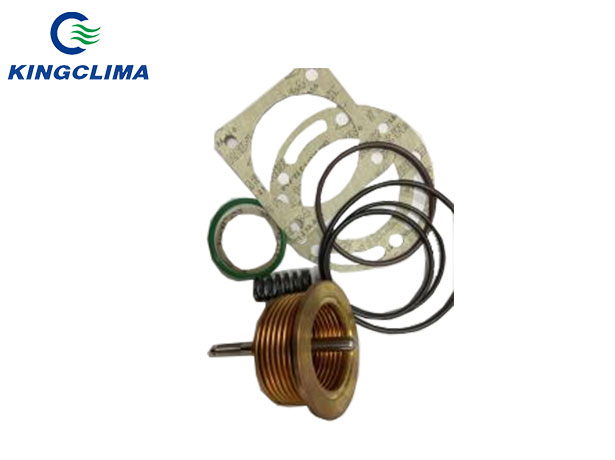Thermo King Parts for Sale Valve Throttling Kit 60-298 Valve